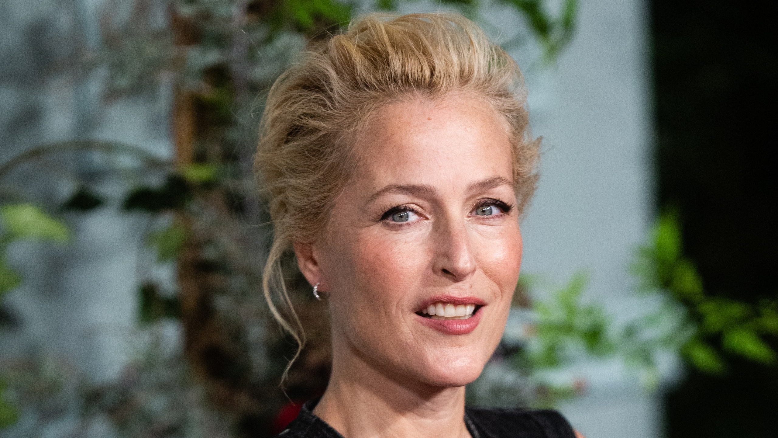 brian voisin recommends Gillian Anderson Pron