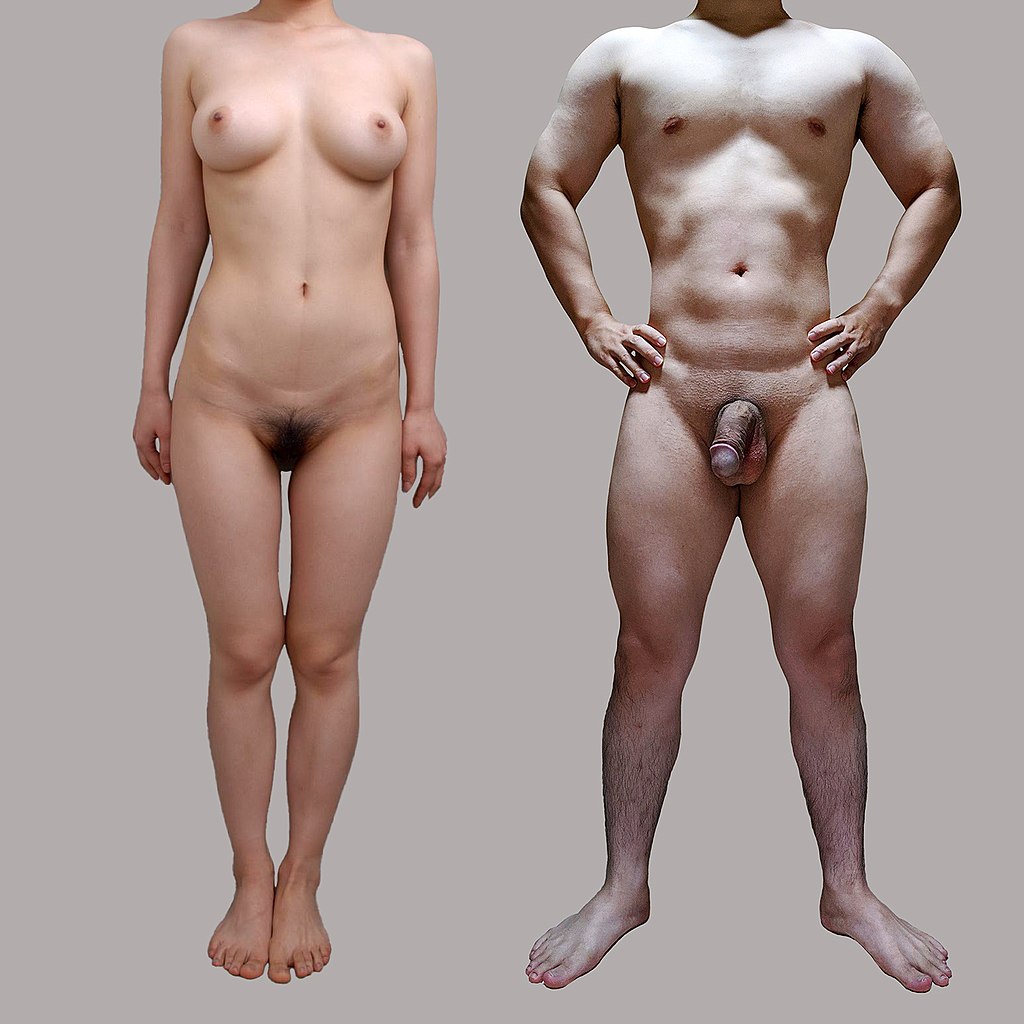 anand pol recommends Japanese Nude Show