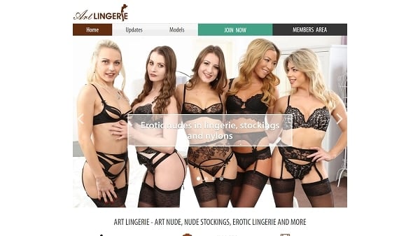 lingerie softcore