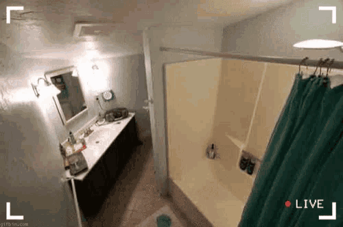 debbie mullins recommends live toilet cam pic