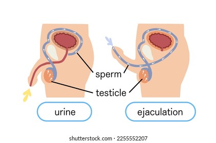 ayad amin recommends male masturbating pic