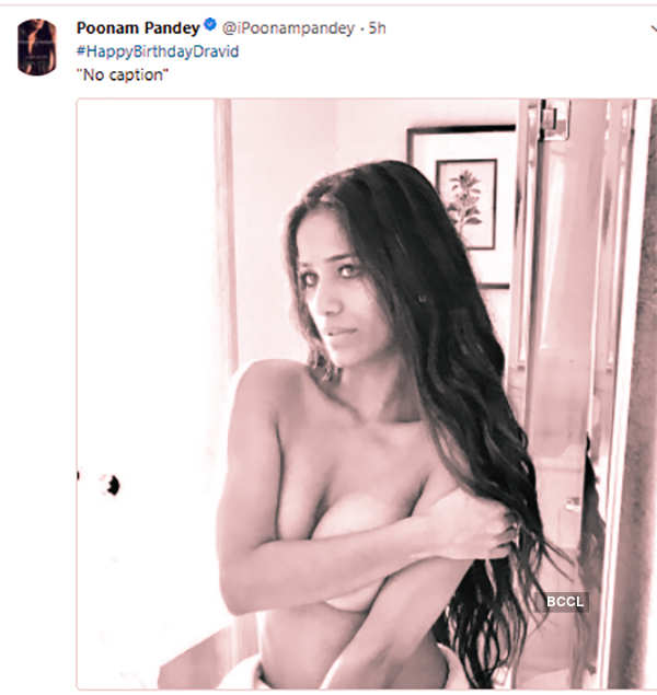 abigail briagas add photo poonam pandey nude