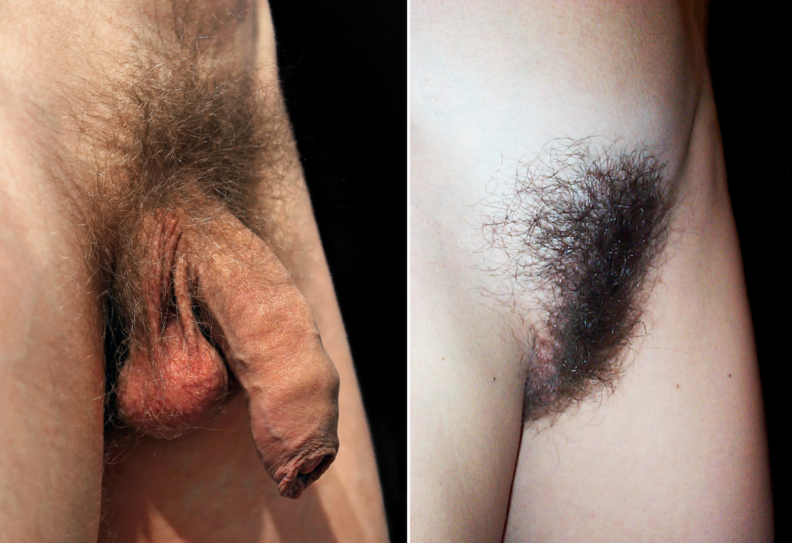 andon donev share porn stars with pubic hair photos