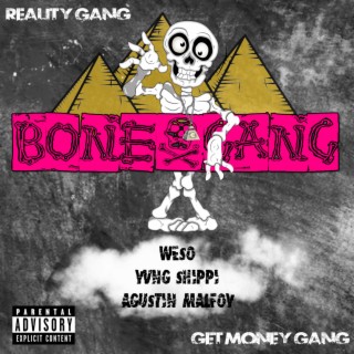 deepali gulati recommends Reality Gang Com