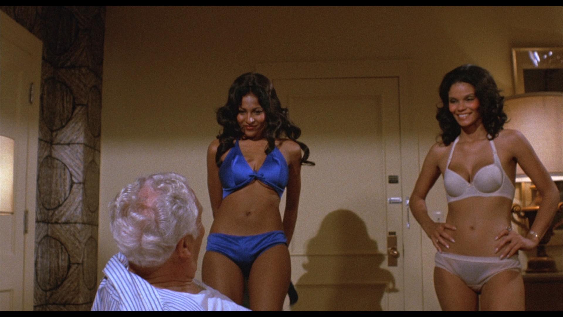 barbara boyette recommends sexy pam grier pic