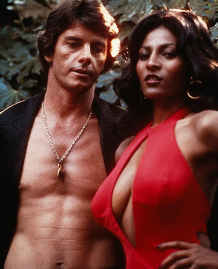 dina aziz recommends sexy pam grier pic