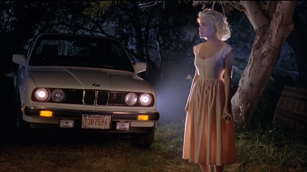 chris hemke recommends Sherilyn Fenn Two Moon Junction