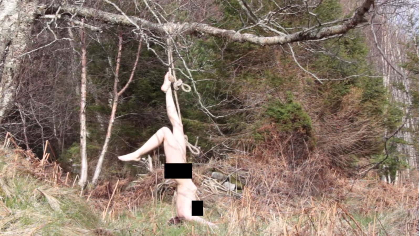 allen strife share tied to a tree naked photos