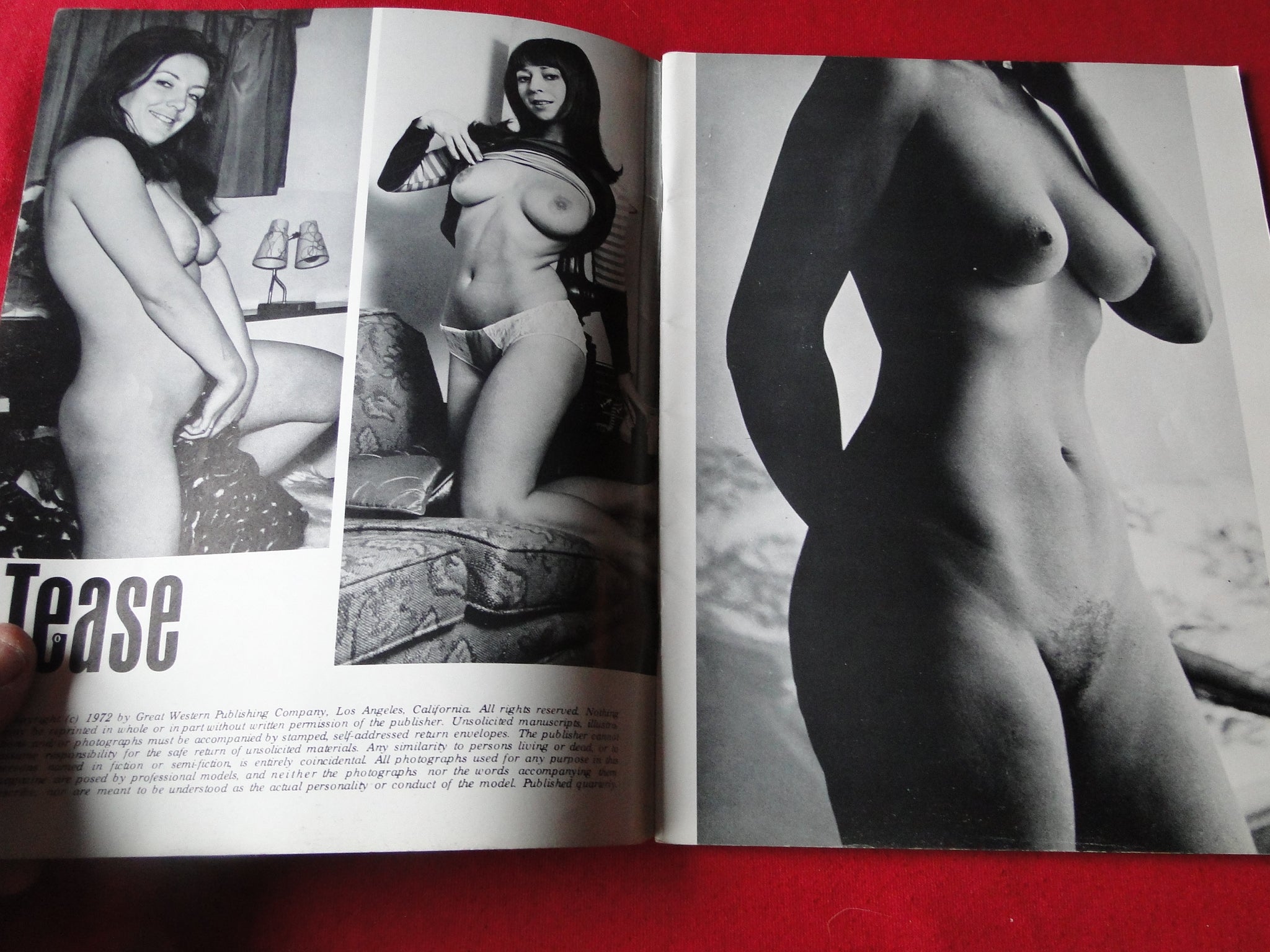 dania nieves recommends Uschi Digard Nude